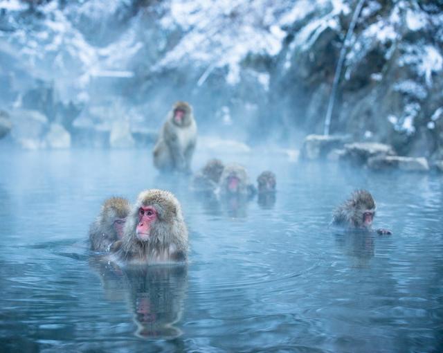 湯田中の住み込みリゾートバイト（旅館のフロントなど）のサブ画像３