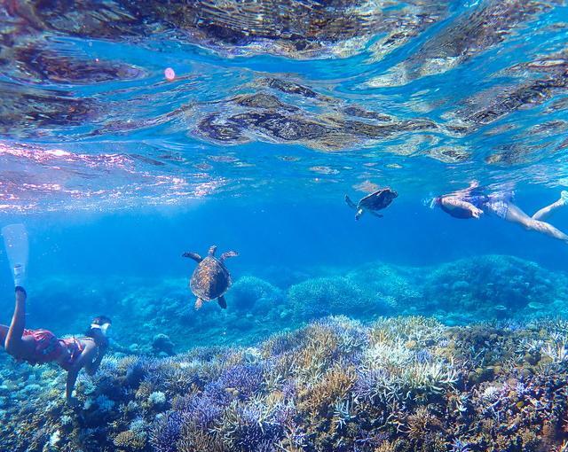 西表島の住み込みリゾートバイト（ホテルの全般業務）の画像３