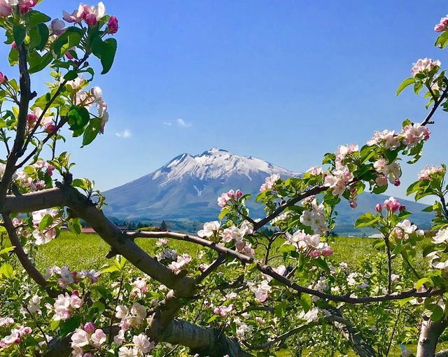 鯵ヶ沢の住み込みリゾートバイト（ホテルのレストラン・フロントなど）の画像１