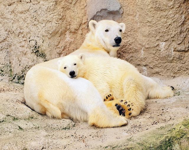 富良野の住み込みリゾートバイト（ホテルの調理業務）の画像１