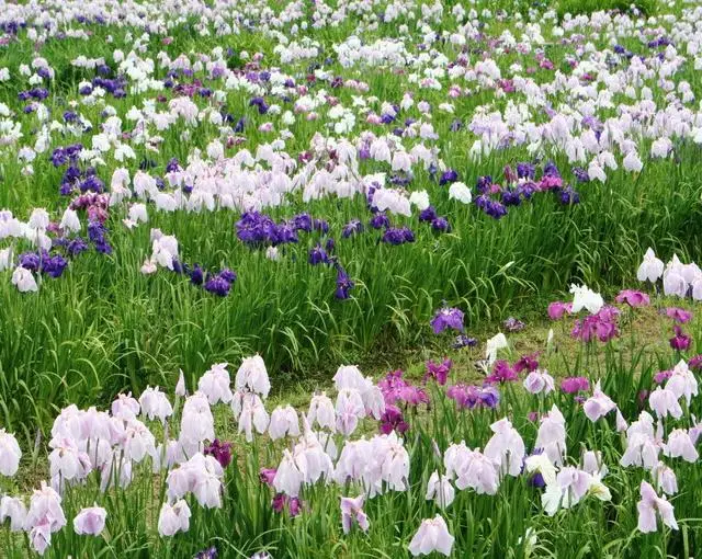 城里
の住み込みリゾートバイト（ゴルフ場のフロントなど）の画像２