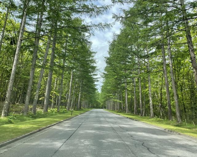 八ヶ岳の住み込みリゾートバイト（ホテルのレストランなど）の画像２