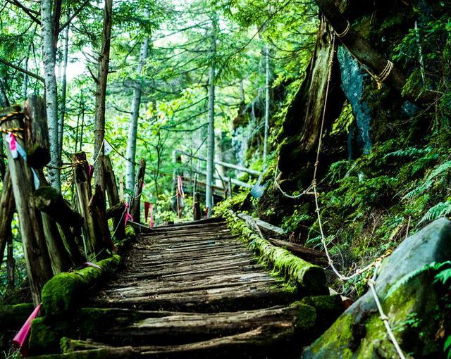 高山の住み込みリゾートバイト（ロッジ・キャンプ場全般業務）の画像４