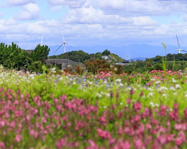 淡路島の住み込みリゾートバイト（ホテルの清掃、レストランなど）の画像３