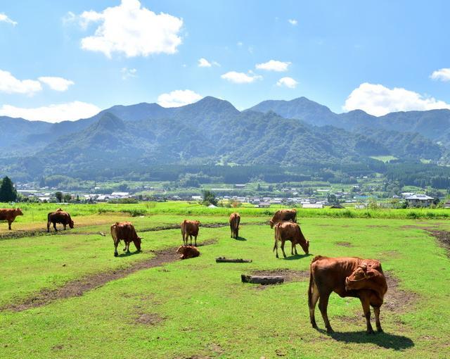 支笏湖の住み込みリゾートバイト（ホテルのレストラン・キャンプ場など）の画像３