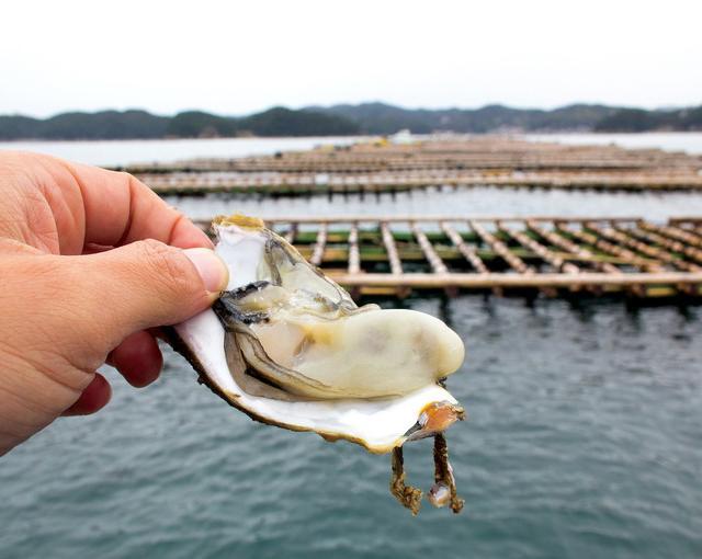 鳥羽の住み込みリゾートバイト（ホテルのレストラン、ベルなど）の画像２