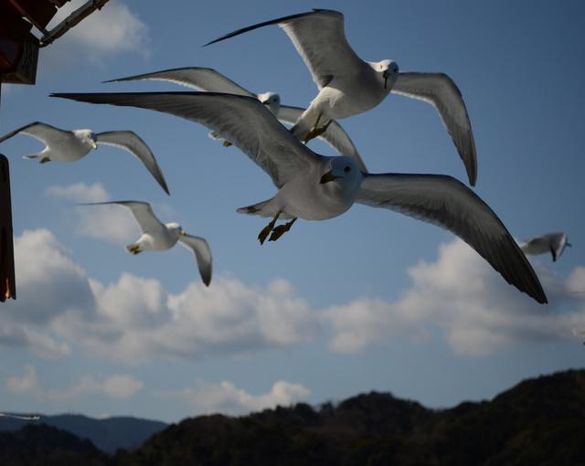 鳥羽の住み込みリゾートバイト（ホテルのレストラン、ベルなど）の画像４