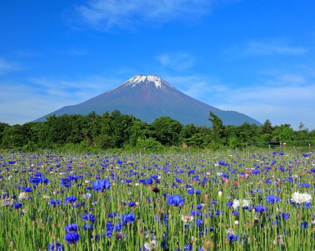 山中湖の住み込みリゾートバイト（ホテルのレストランスタッフ）の画像１