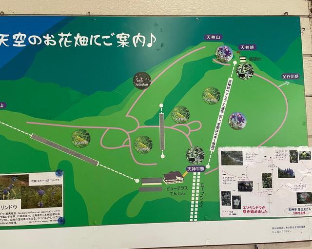 谷川岳の住み込みスキー場バイト（）の画像４