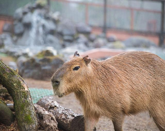 伊東
の住み込みリゾートバイト（ホテルの全般業務など）の画像３