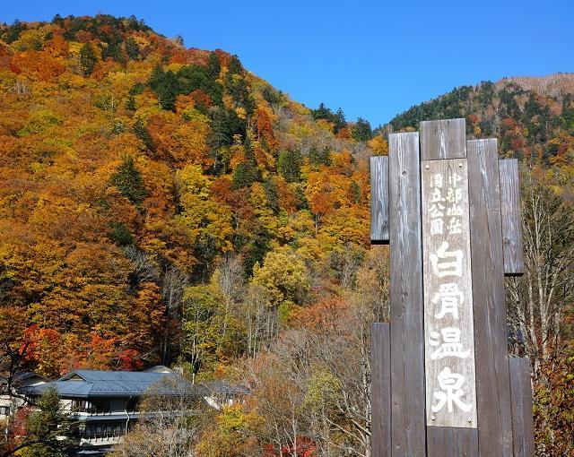 【旅館のお仕事】