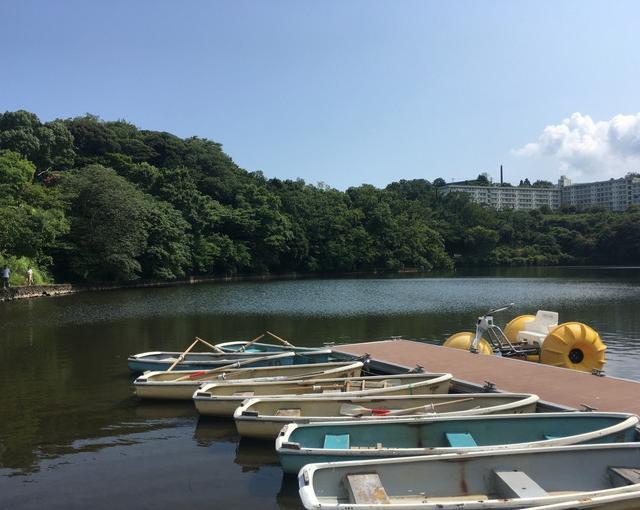 伊豆高原の住み込みリゾートバイト（ホテルのレストラン、客室清掃など）の画像１