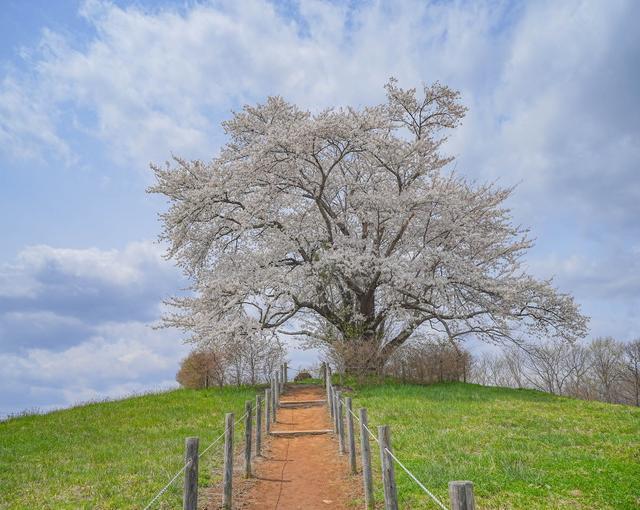 八幡平の住み込みリゾートバイト（ホテルのレストラン）の画像２