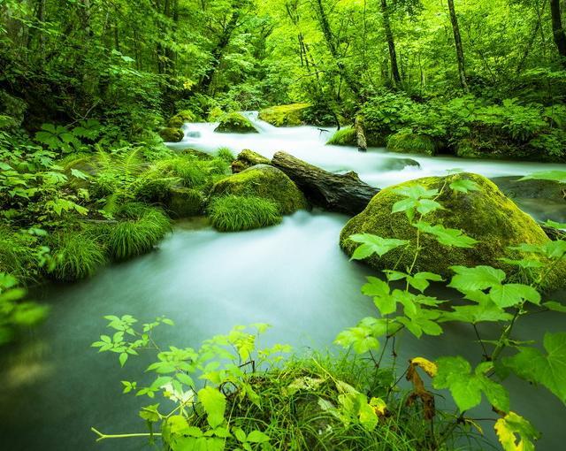 十和田湖の住み込みリゾートバイト（旅館の仲居）の画像２