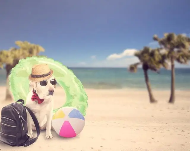 鳥羽の住み込みリゾートバイト（ホテルのレストラン、清掃業務など）の画像４