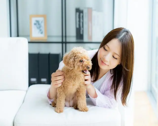 鳥羽の住み込みリゾートバイト（ホテルのレストラン、清掃業務など）のサブ画像１