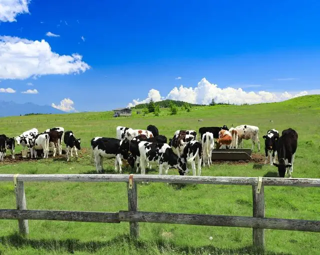 蓼科の住み込みリゾートバイト（ホテルでのレストラン業務など）の画像２