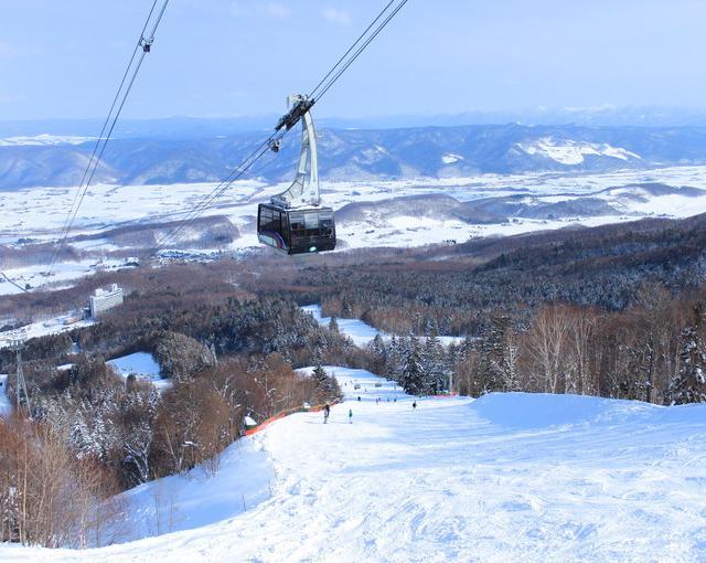 募集終了 ワイナリーペンション 北海道 富良野の住み込み求人 リゾートバイト Net