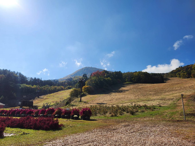 【スキー場のお仕事】