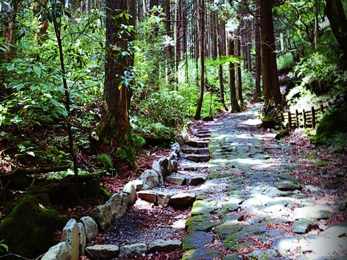 神奈川県/箱根の【旅館のお仕事】