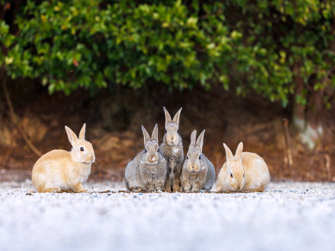 【ホテルのお仕事】