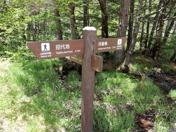 上高地の住み込みリゾートバイト（ホテルのお仕事）の画像５