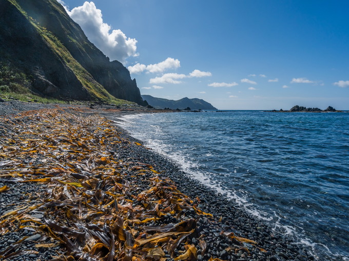 北海道/礼文島の【水産のお仕事】