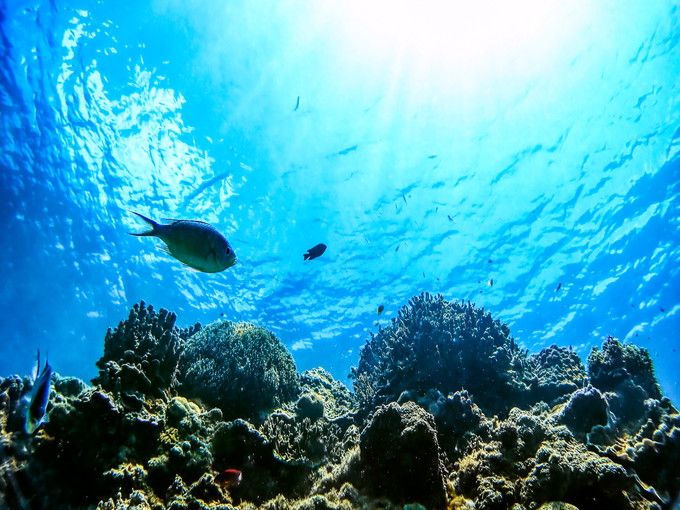 名護の住み込みリゾートバイト（テーマパークのアトラクションスタッフ）のサブ画像３