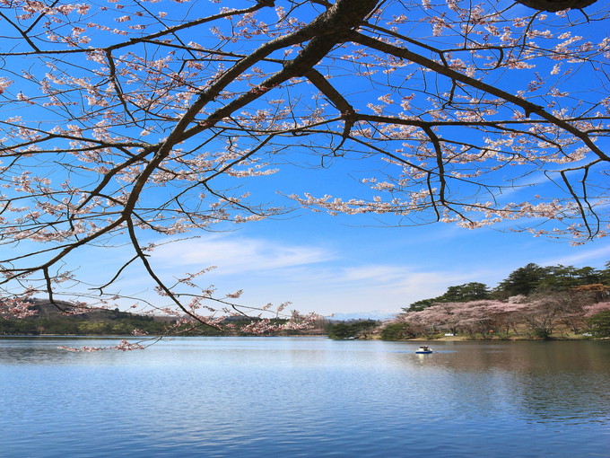 【ホテルのお仕事】