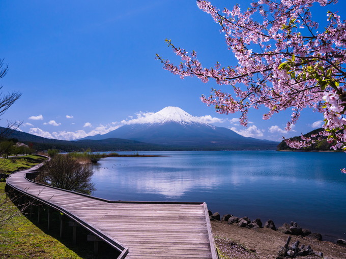 【ホテルのお仕事】