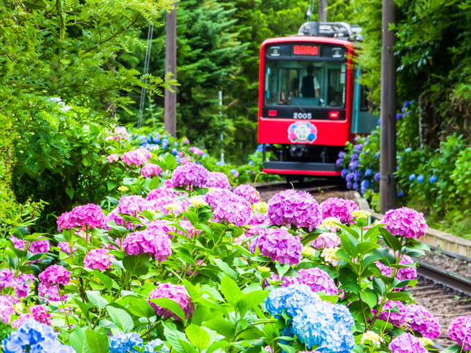 箱根の住み込みリゾートバイト（レストランサービス）の画像３