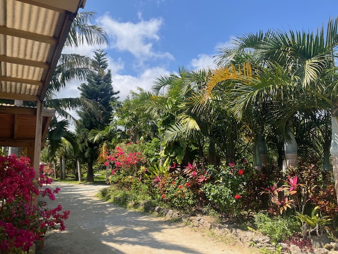 西表島の住み込みリゾートバイト（植物園の売店、レストランなど）の画像３