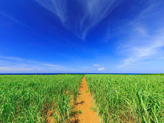 宮古島の住み込みリゾートバイト（ホテルのお仕事）の画像２