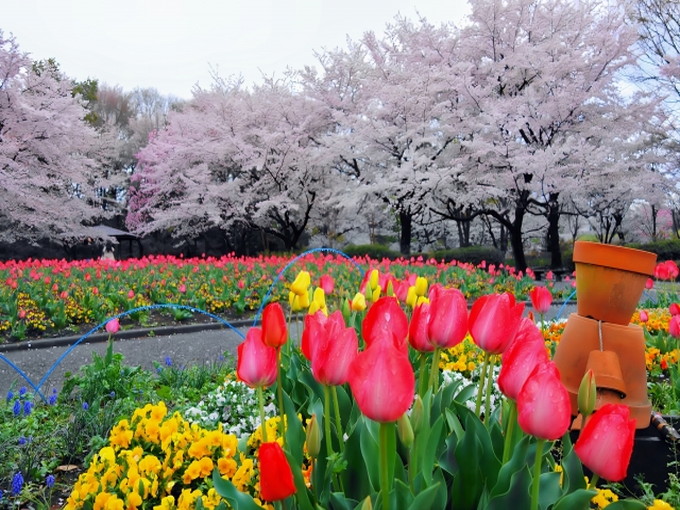 郡上の住み込みリゾートバイト（アクティビティのお仕事）の画像３