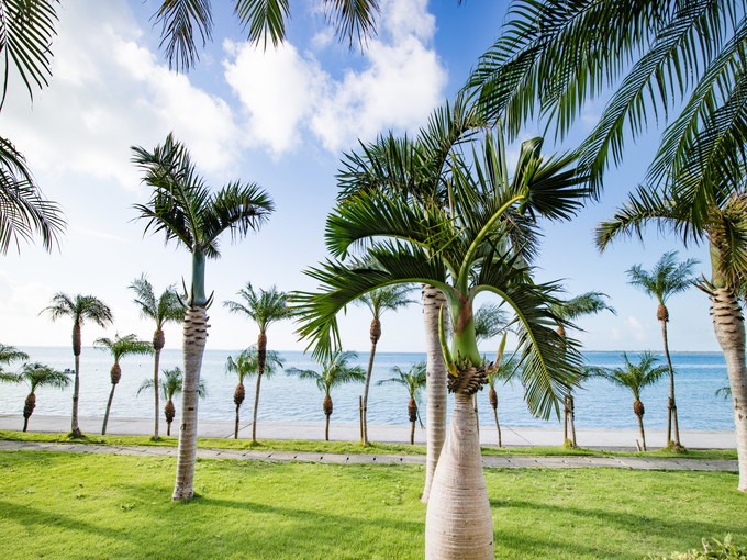 石垣島の住み込みリゾートバイト（飲食店でのレストランのお仕事）の画像２