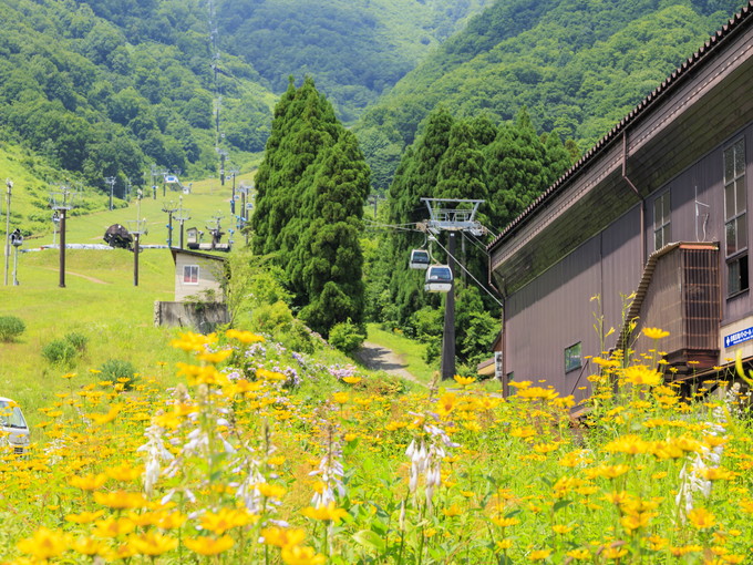 長野県/白馬の【ホテルのお仕事】