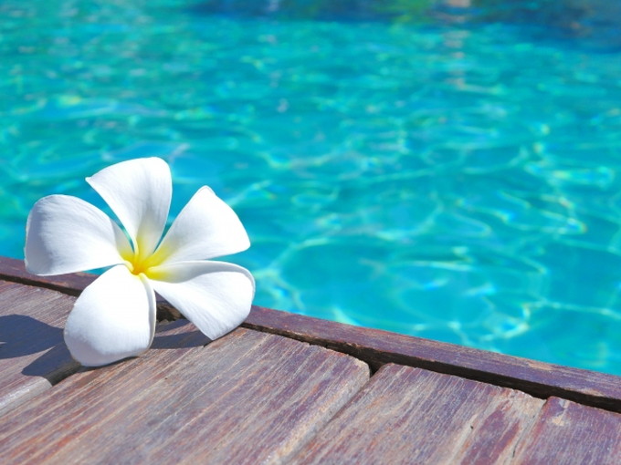 東京都の住み込みリゾートバイト（遊園地・飲食店）のサブ画像３