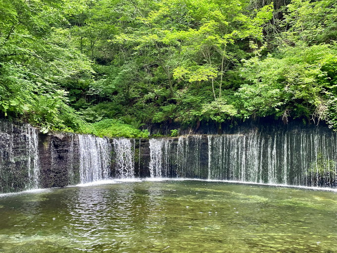 北軽井沢の住み込みリゾートバイト（ホテルのマルチ業務、調理など）の画像２