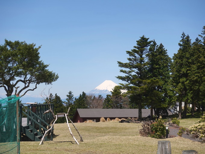 天城の住み込みリゾートバイト（ホテルのレストラン）の画像３