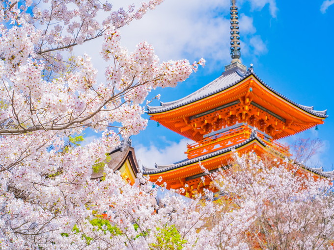 京都市の住み込みリゾートバイト（ホテルのフロント・ナイトフロント）の画像２