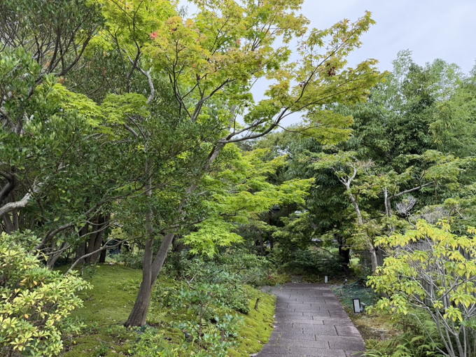 河津の住み込みリゾートバイト（ホテルのフロント、レストランなど）の画像５
