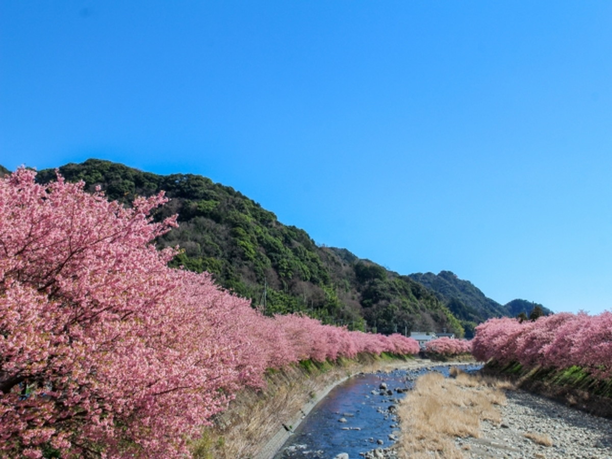 伊豆の住み込みリゾートバイト（ホテルのレストラン）の画像２
