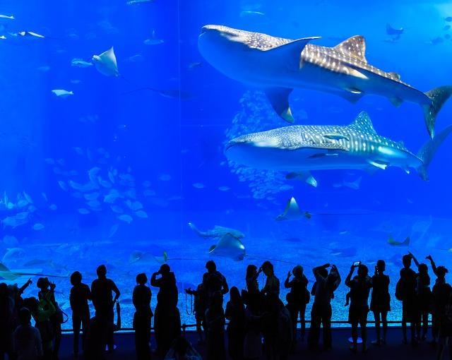 募集終了 ようこそ 常夏の楽園へ 沖縄県 沖縄本島の住み込み求人 リゾートバイト Net