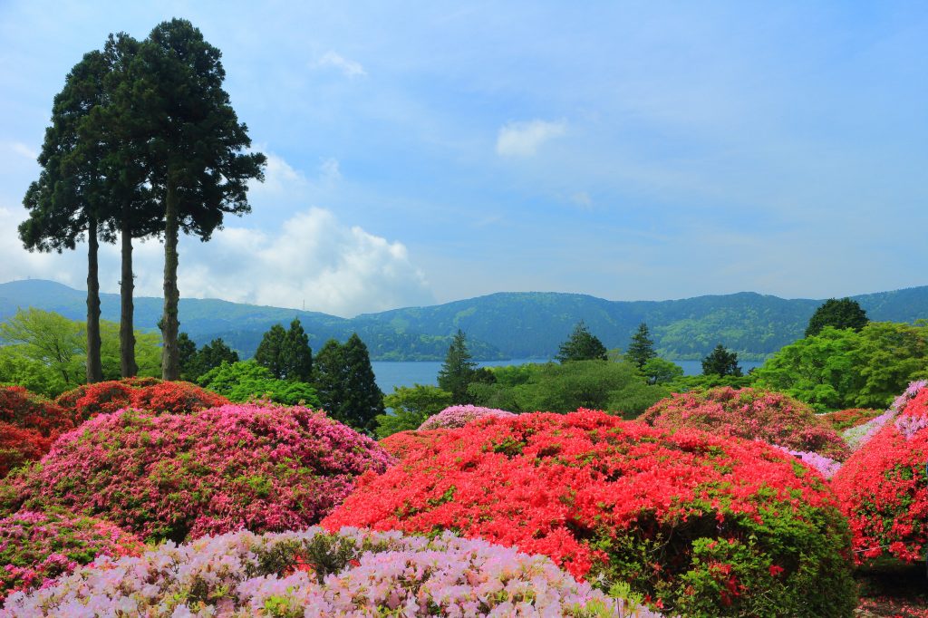箱根温泉バイト