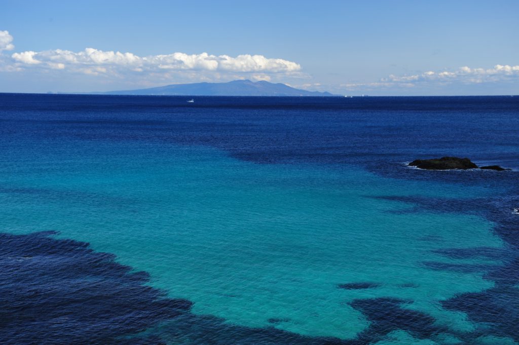 下田海バイト
