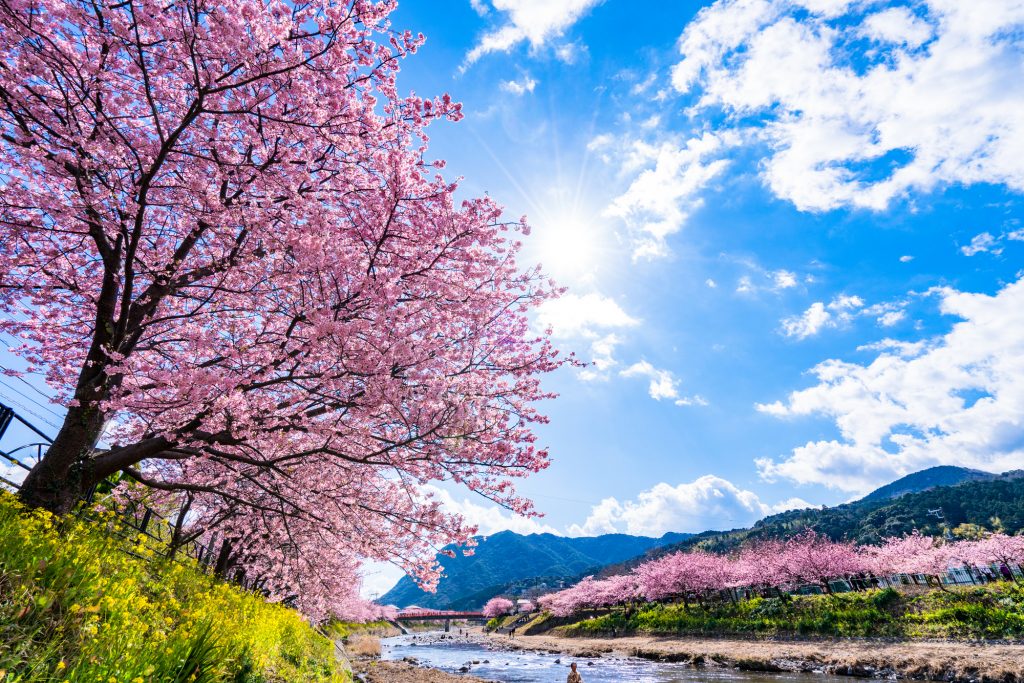 静岡河津リゾートバイト