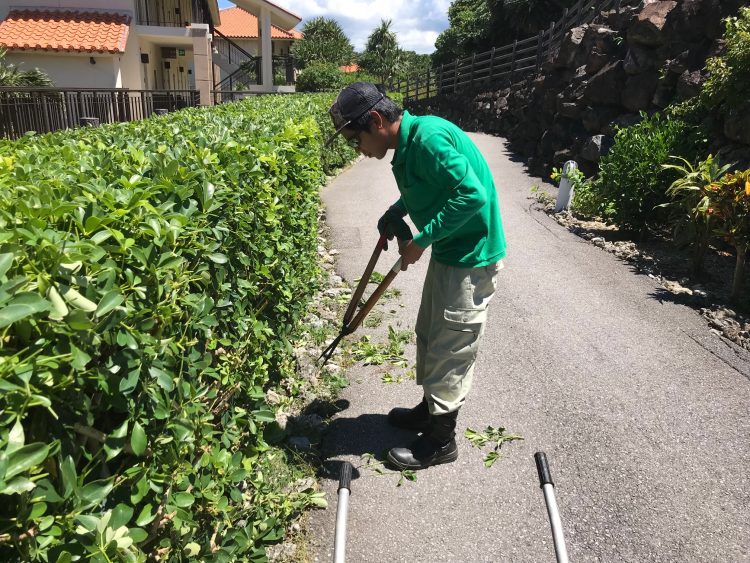 必見 沖縄県のリゾートバイト体験談 口コミ 求人情報 リゾバガイド 沖縄 リゾートバイト